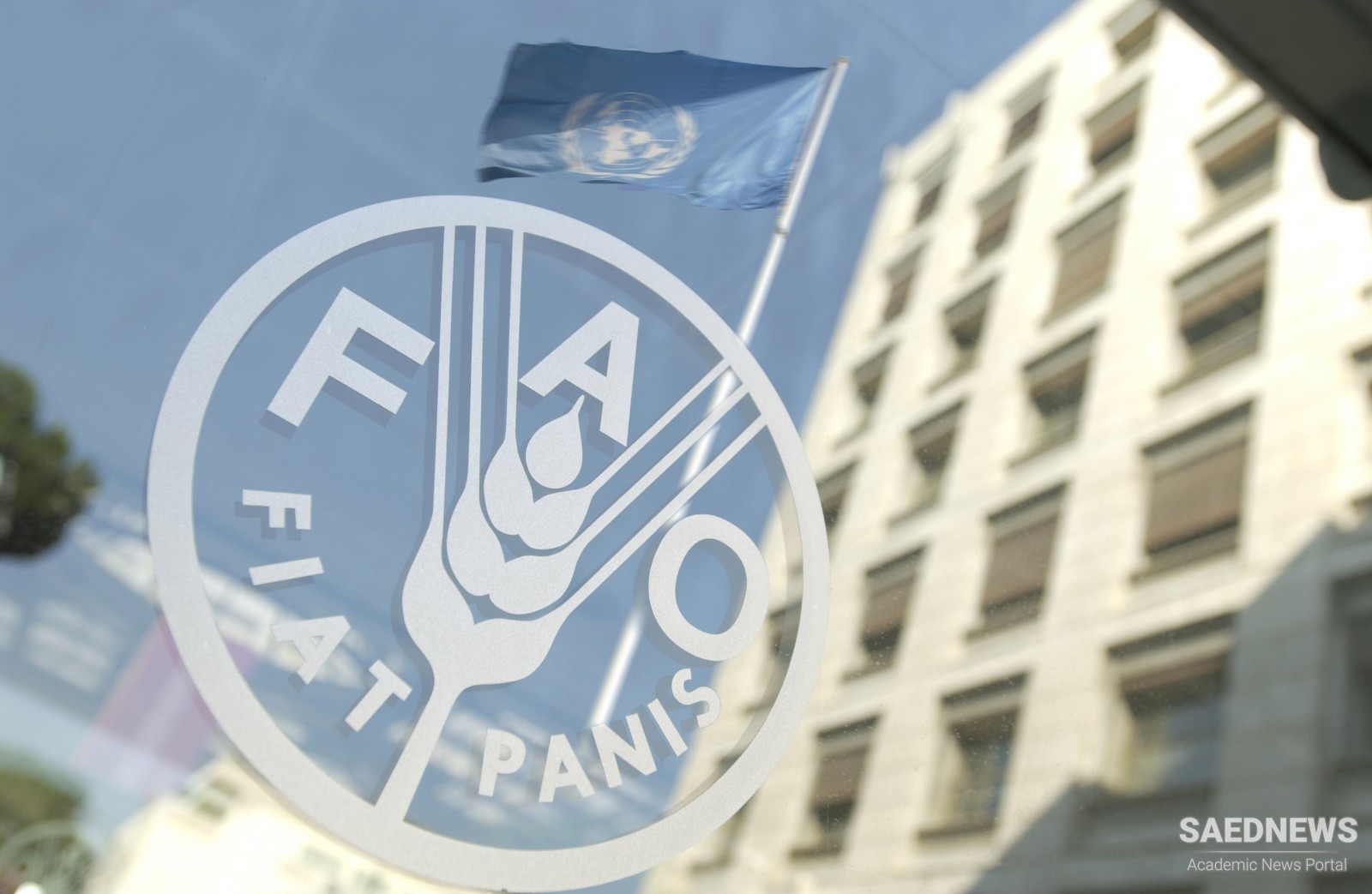 Systematic Management of Agricultural Surpluses: FAO's Initiative for Fighting Hunger