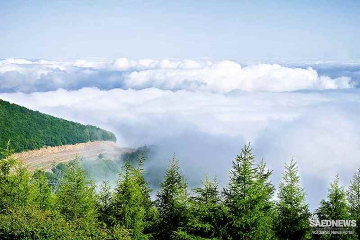 Ecotourism Destinations in Iran: Clouds Forest in Semnan