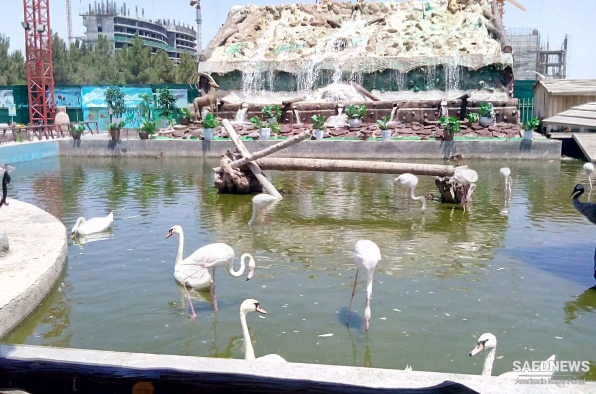 Mashhad Birds Garden