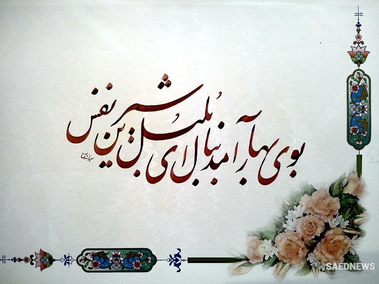 Early Flowerings of Persian Literature
