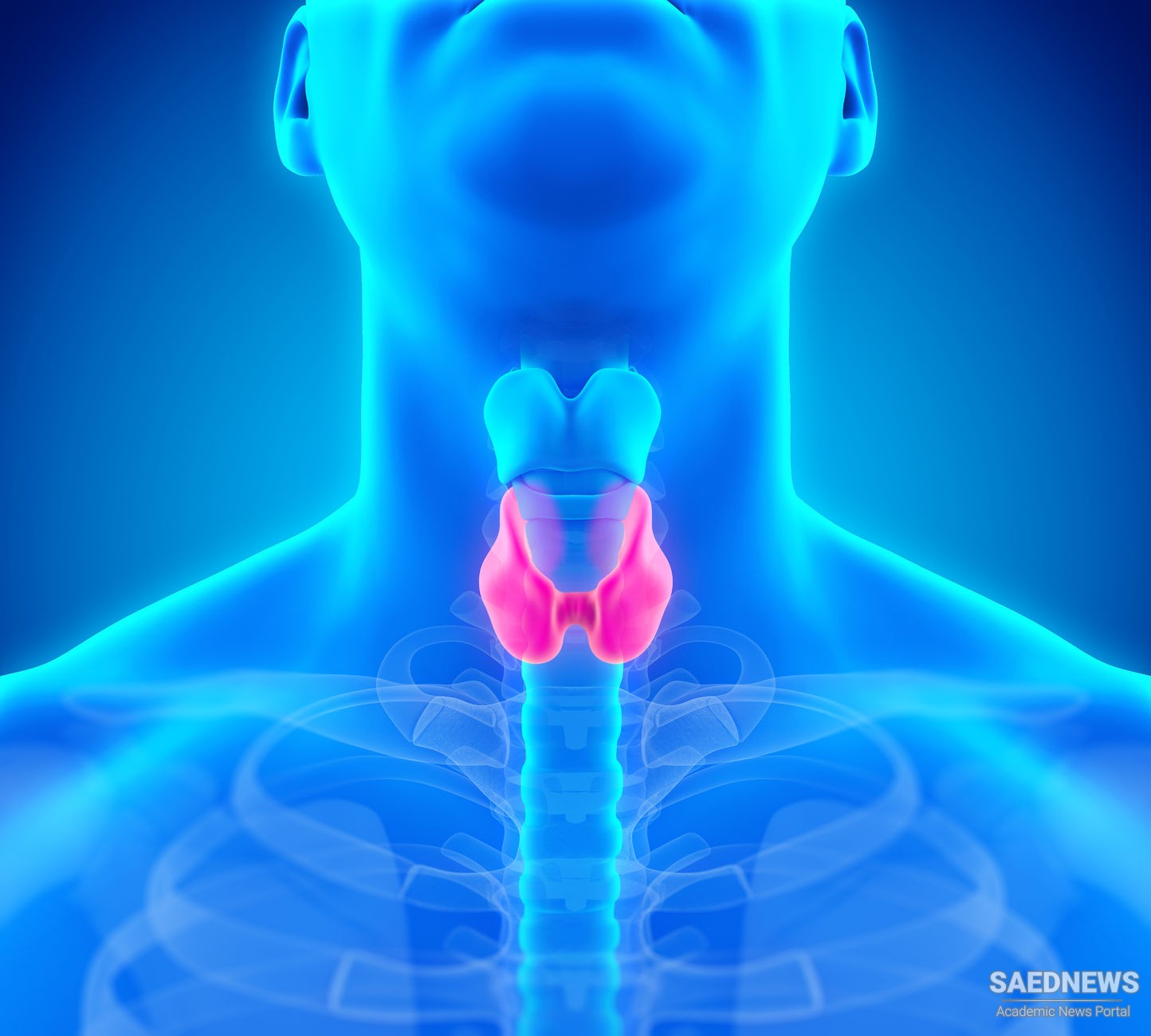 थायराइड के लक्षण, कारण, घरेलू उपचार और परहेज (Home Remedies for Thyroid Hypothyroidism)