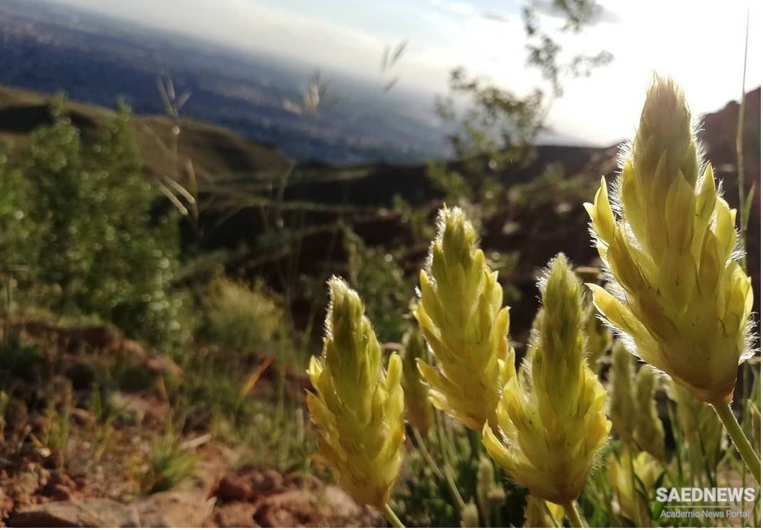 एयनाली पर्वत: अजरबैजान के दिल में कुदरती सुंदरता