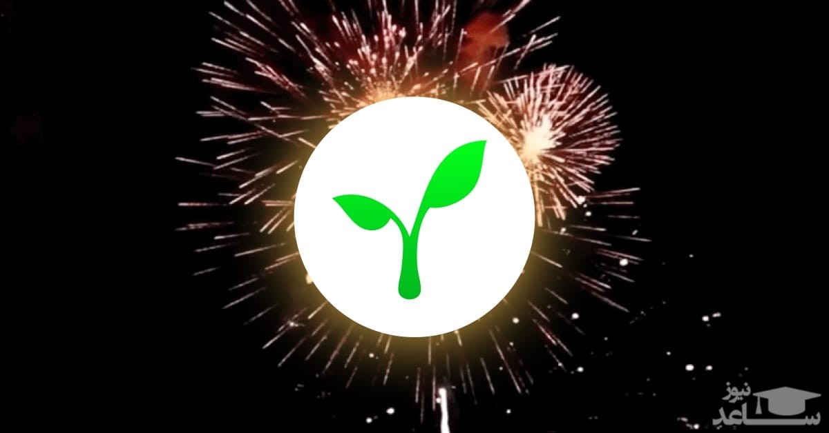 آشنایی با شبکه رادیکل (Radicle) و توکن RAD