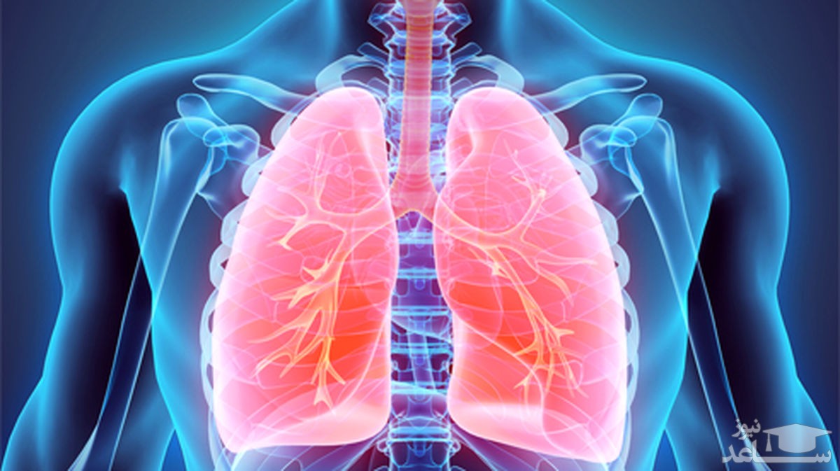 اینفوگرافیک / چند خوراکی مفید برای تقویت ریه‌ها