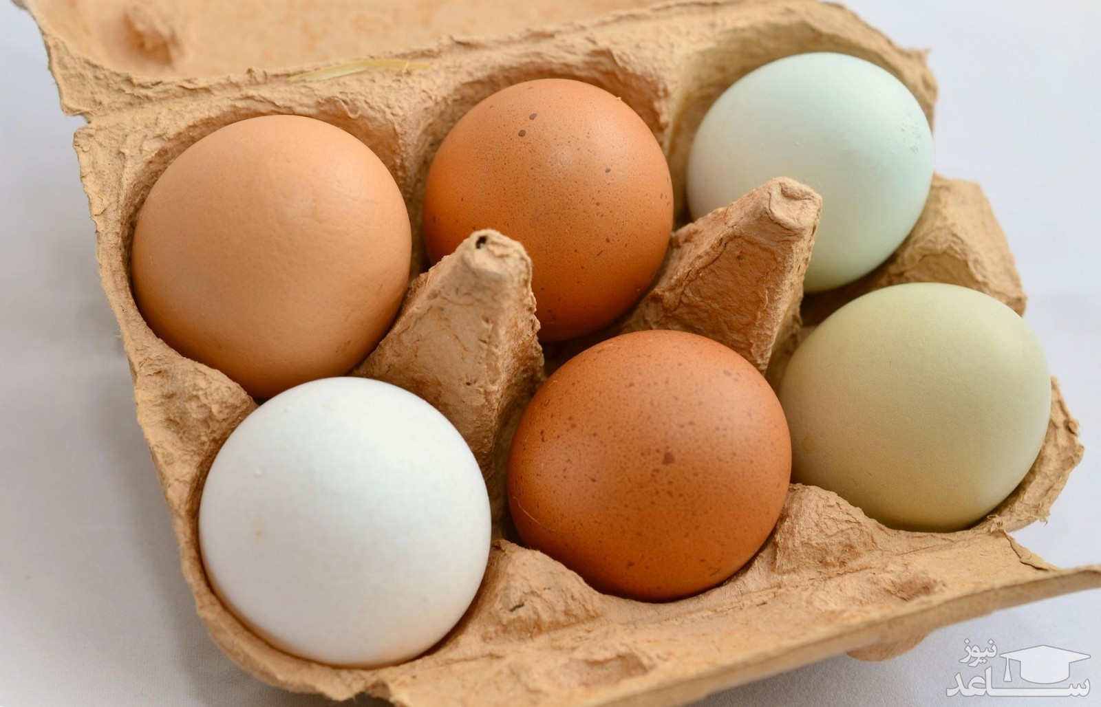 مهمترین خواص تخم مرغ آب پز چیست؟