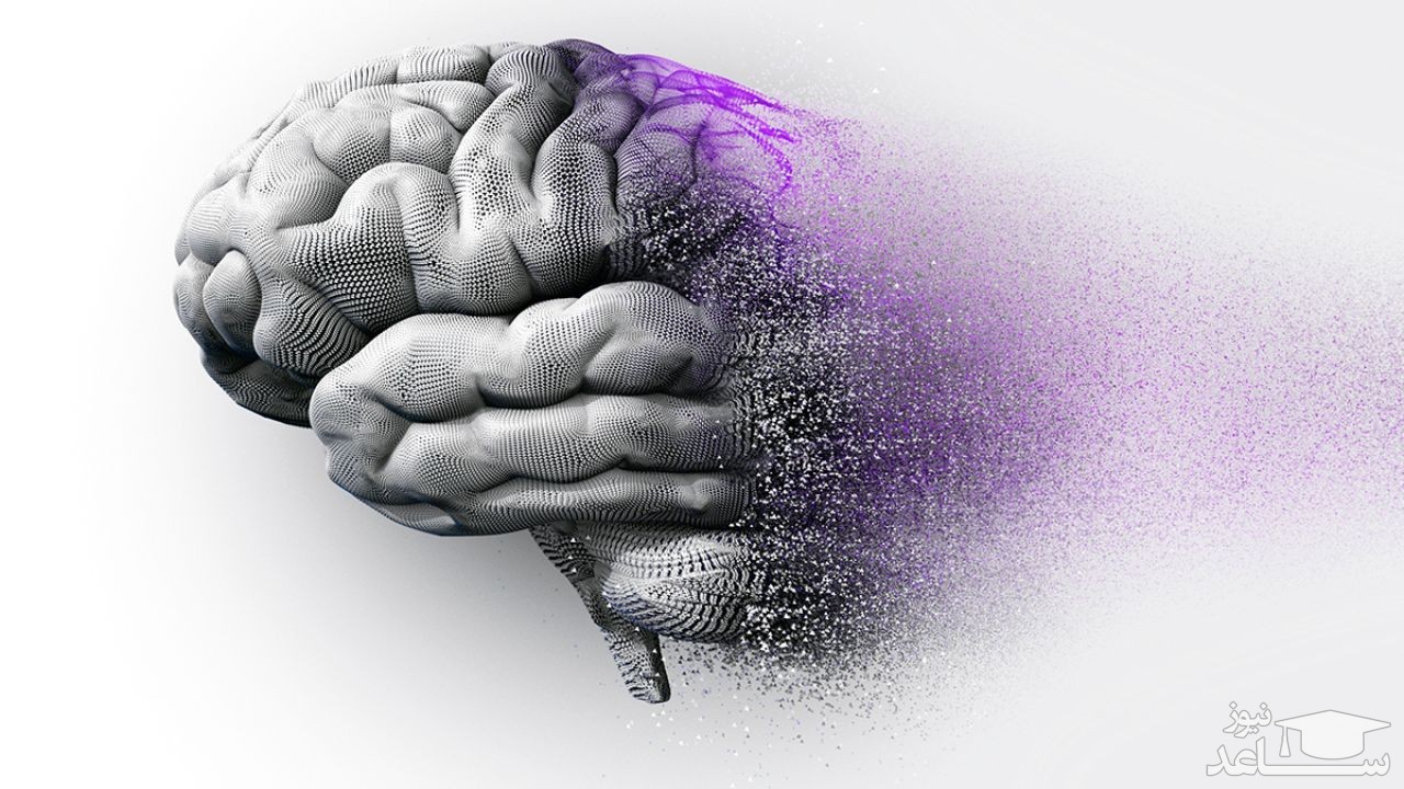 میزان، تاثیرات و مکانیزم اثر ریواستیگمین