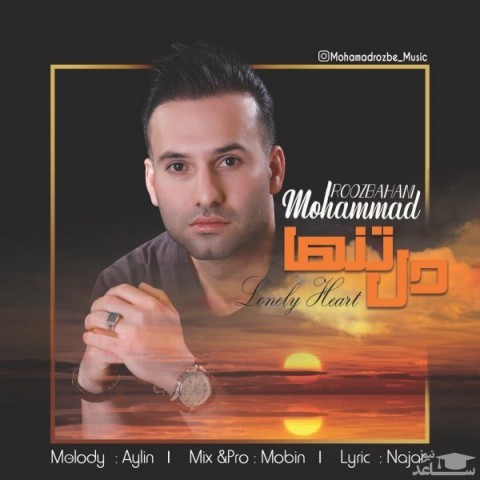 دانلود آهنگ دل تنها از محمد روزبهانی