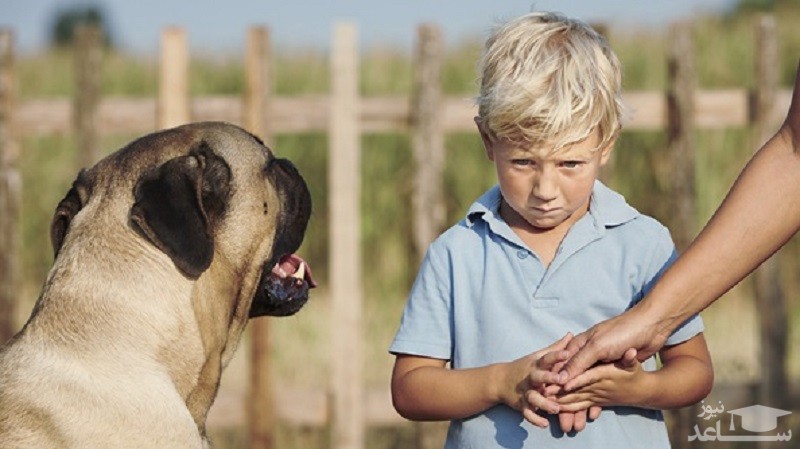 روش های از بین بردن ترس کودکان از حیوانات