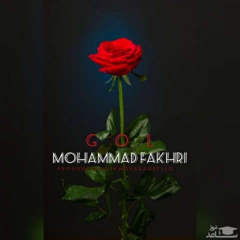 دانلود آهنگ گل از محمد فخری