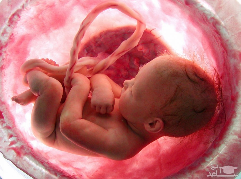  نحوه تکان خوردن جنین در ماه های بارداری