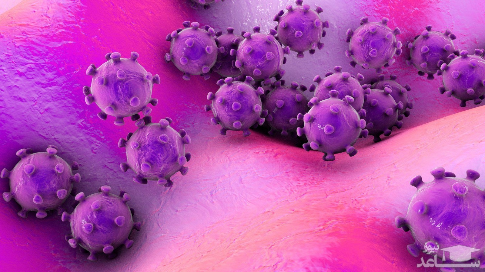 شناسایی یک ویروس جدید در چین با قابلیت «همه‌گیری جهانی»