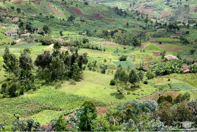 پارک ملی Ruvubu