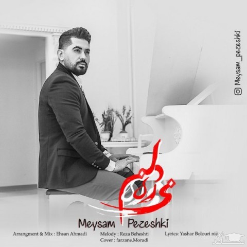 دانلود آهنگ دلم می ره از میثم پزشکی