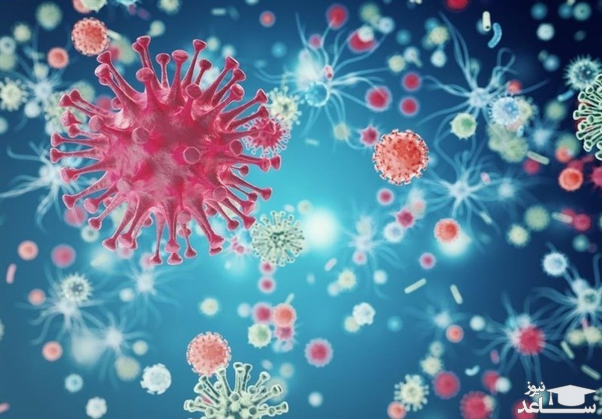 (فیلم) توصیه جالب پزشک طب سنتی برای پیشگیری از ابتلا به ویروس کرونا