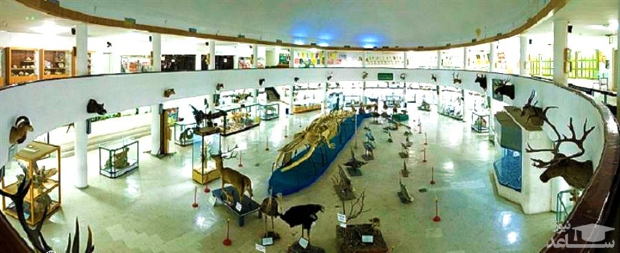 معرفی موزه های دیدنی شیراز