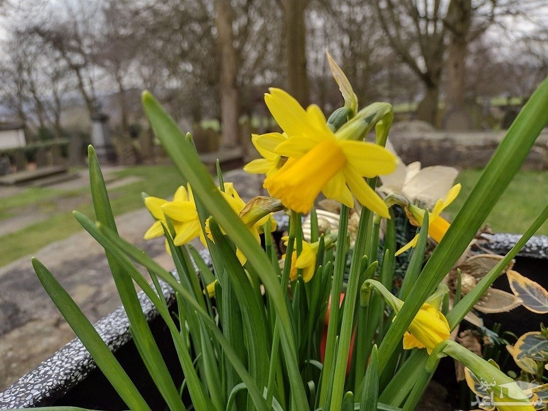 کیفیت تصویر موتورولا موتو جی 10