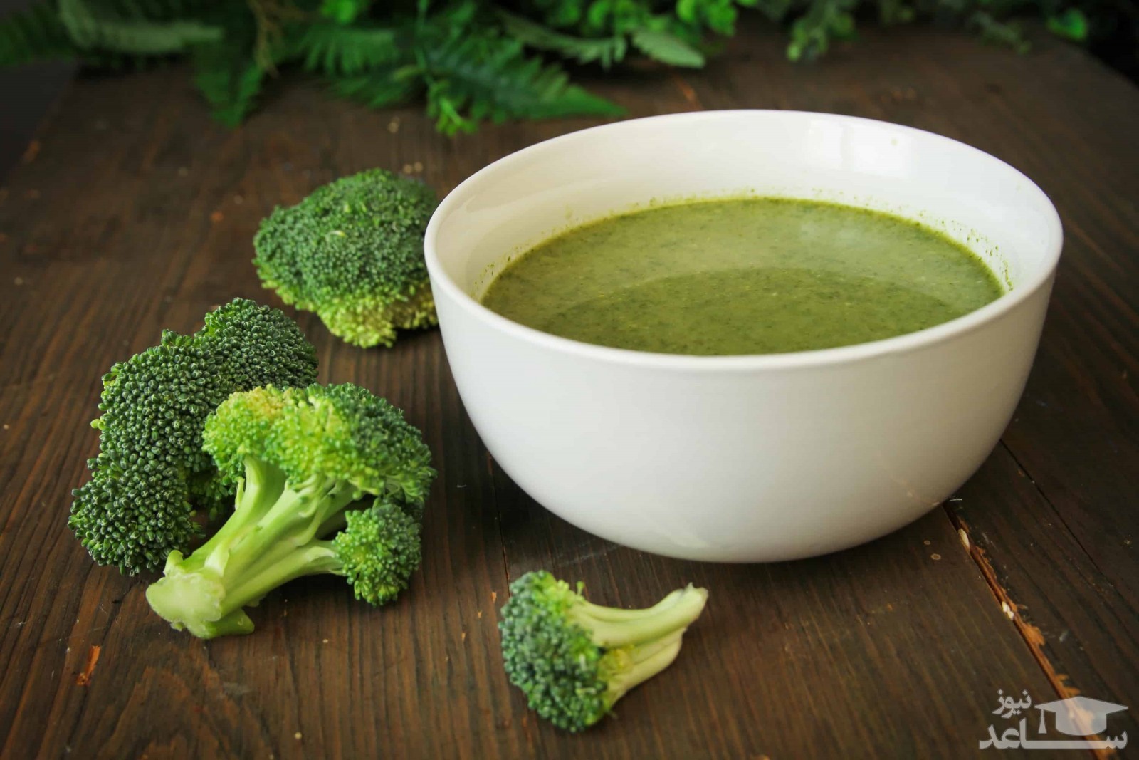 روش تهیه پوره بروکلی