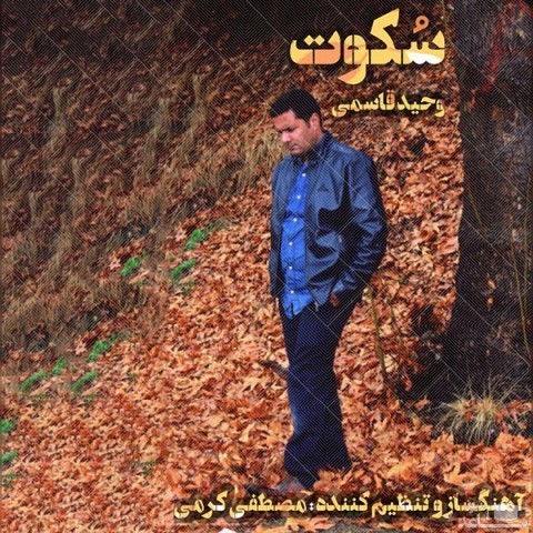 دانلود آهنگ سکوت از وحید قاسمی