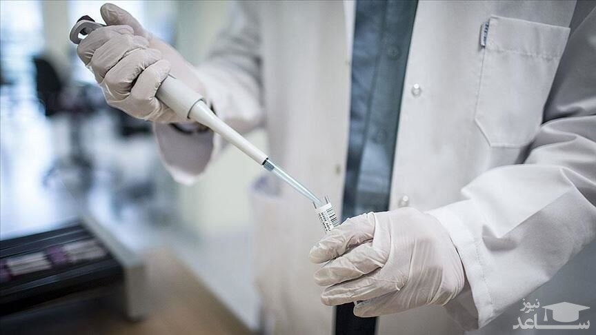 مقدمات تولید پادتن کرونا در کشور فراهم شد