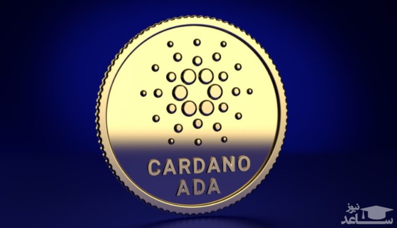 هارد فورک ماری کاردانو چیست؟