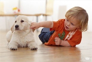 فواید نگهداری از حیوانات خانگی بر سلامت روانی کودکان