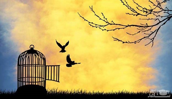 آزادی دو کبوتر از قفس