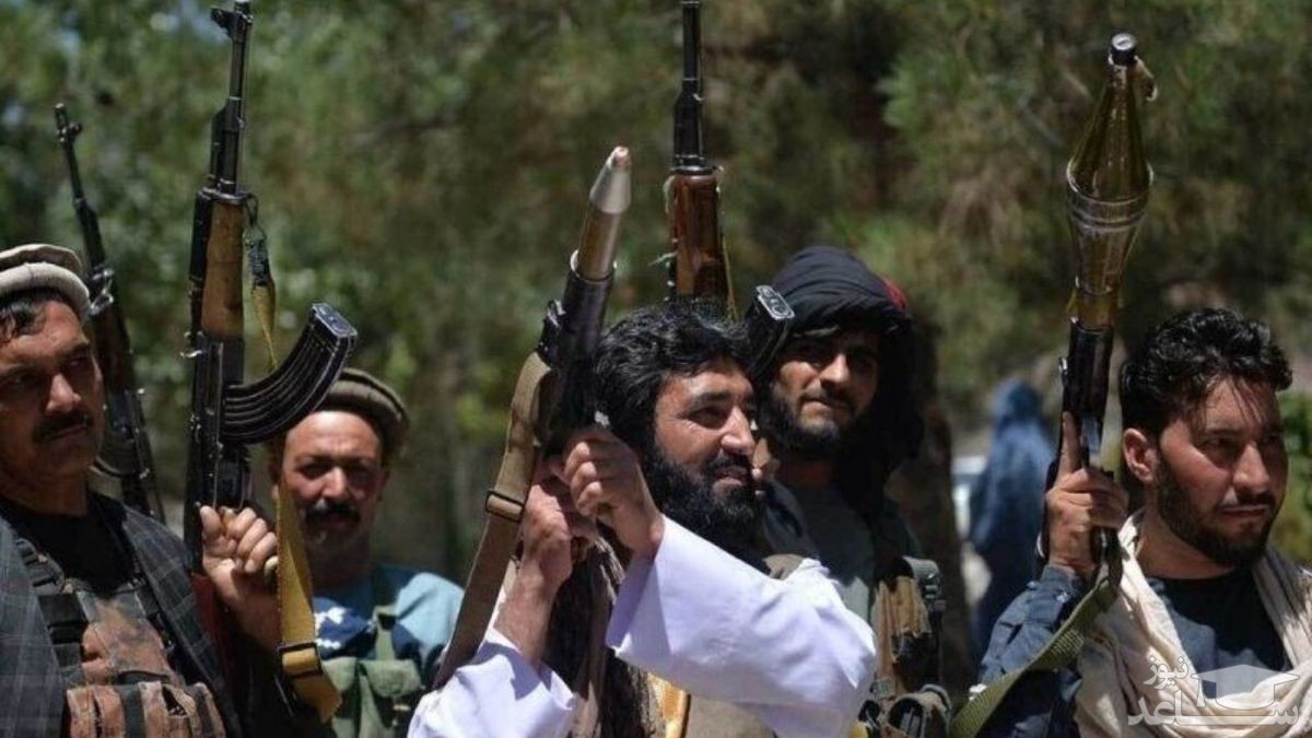 اینکه طالبان رهبر خود را امیرالمومنین کل جهان می دانند یعنی چه؟