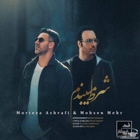 دانلود آهنگ شرط میبندم از محسن مهراد