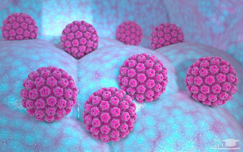 کدام زگیل های تناسلی خطرناک هستند؟