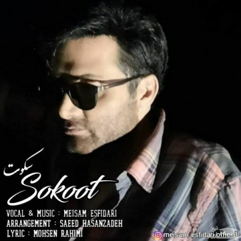 دانلود آهنگ سکوت از میثم اسفیداری