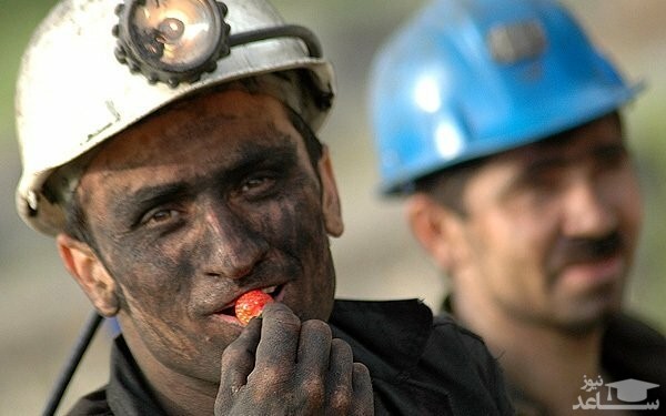 کام کارگران در نهایت شیرین می‌شود؟!