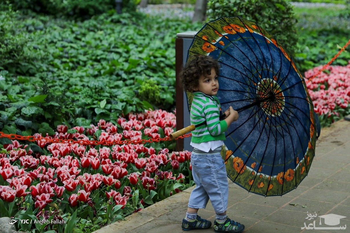 «باغ ایرانی»، بهشت کوچک پایتخت