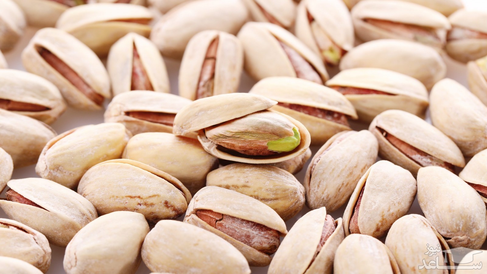 خواص پسته کله قوچی