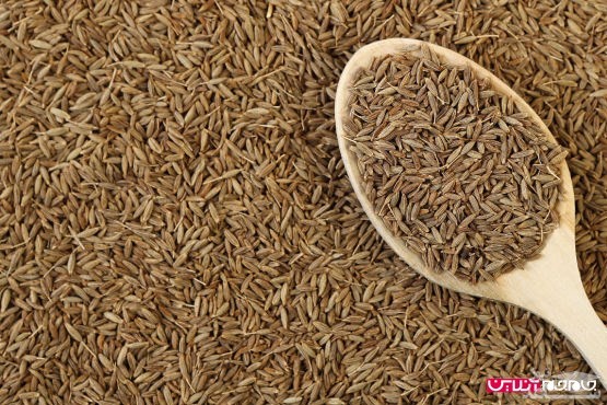 خواص زیره و نحوه مصرف آن