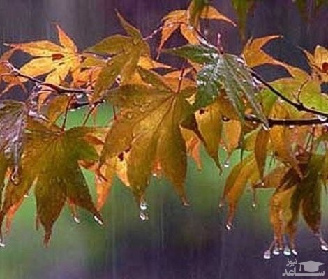 آخرین وضعیت هوا وبارش برف و باران