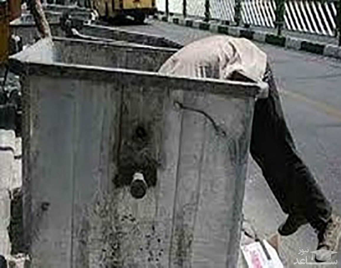 کشف جسد دختر ۲۵ ساله در سطل زباله‌ای در زعفرانیه