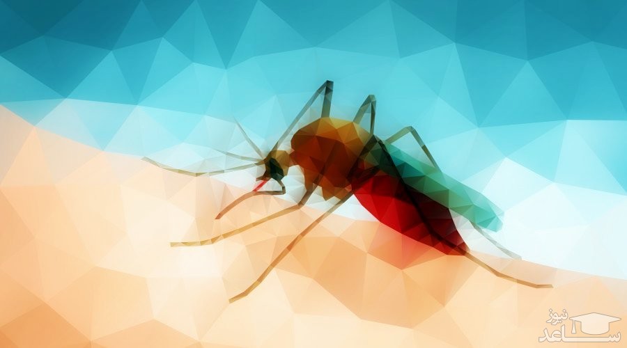 موارد منع مصرف و تداخل دارویی  مفلوکین