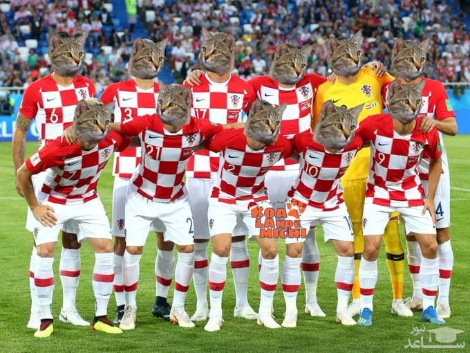 تصویر فانی از بازیکنان کرواسی با صورت هایی از گربه