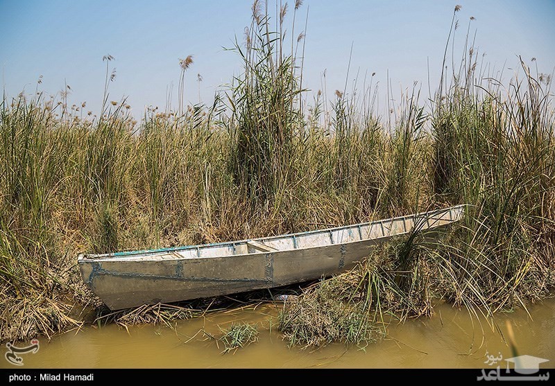 بازگشت آب به هورالعظیم