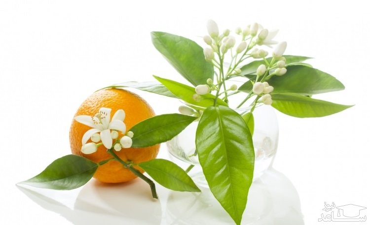 خواص بهارنارنج و نحوه مصرف آن