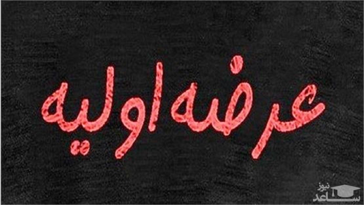 عرضه اولیه اپال قطعی شد