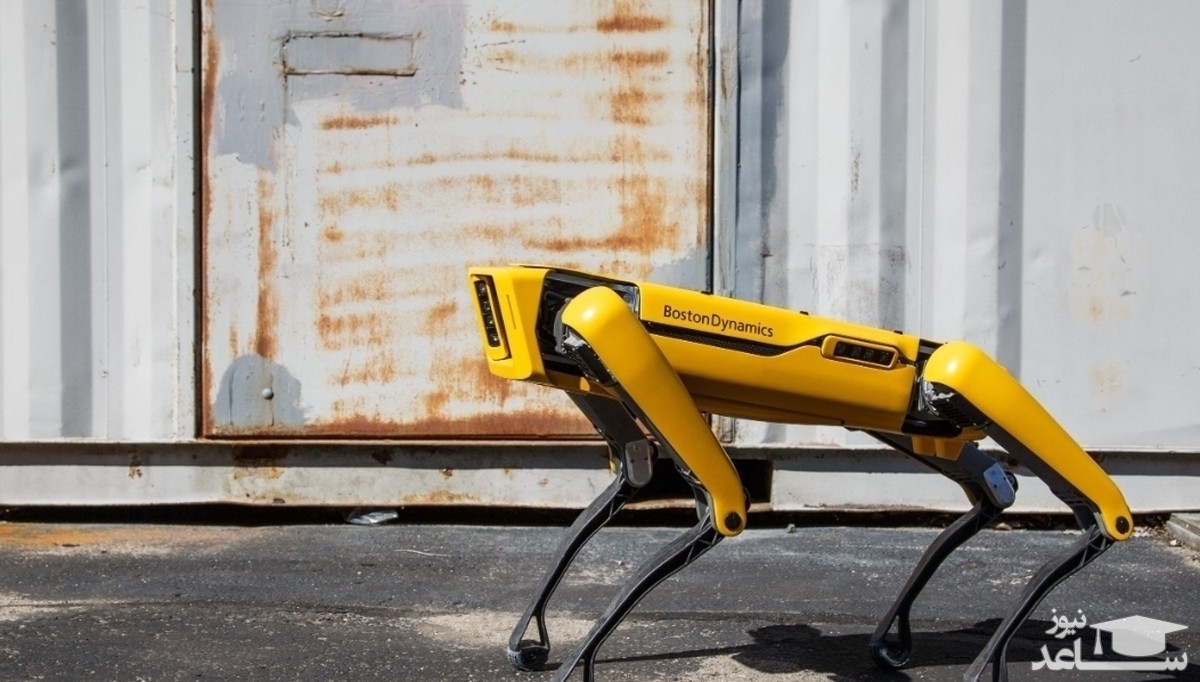 (ویدئو) ربات‌سگ‌ها مسئول اعلام قرنطینه در شانگهای