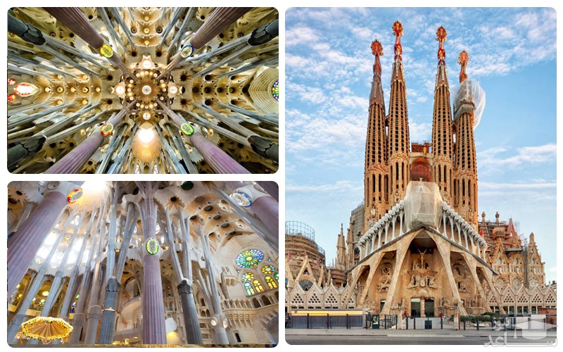  لاساگرادا فامیلیا