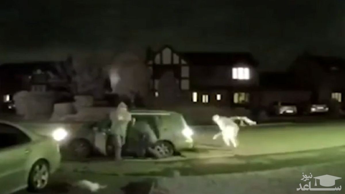 (فیلم) حمله به یک خانه با پرتاب وحشیانه لاشه حیوانات!