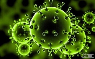 ۱۴ نکته تغذیه‌ای برای بهبودیافتگانِ کرونا