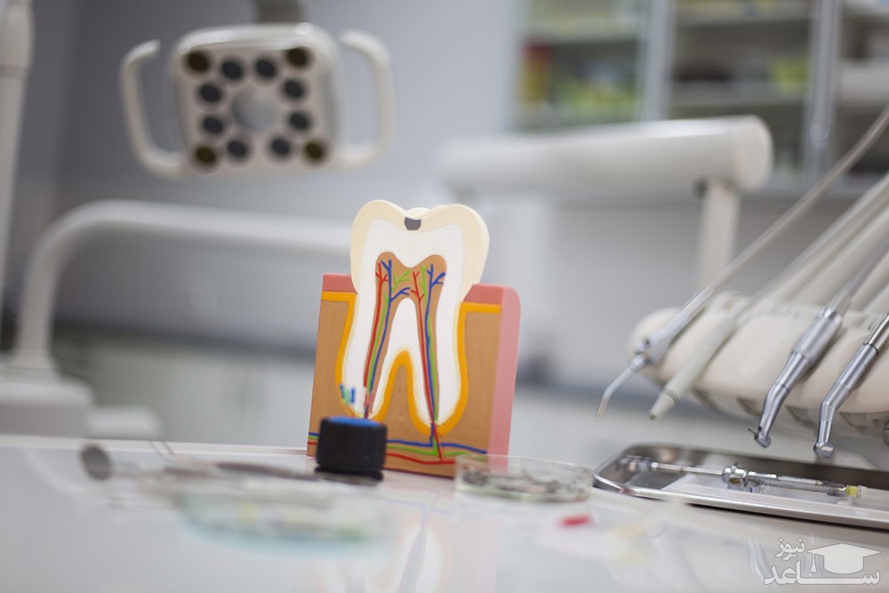 ارتباط بین کبد و دندان پزشکی
