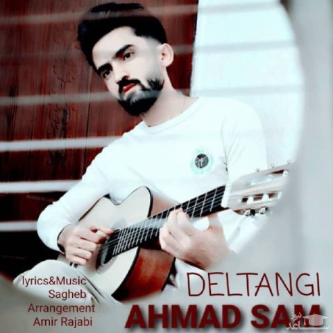 دانلود آهنگ دلتنگی از احمد سام
