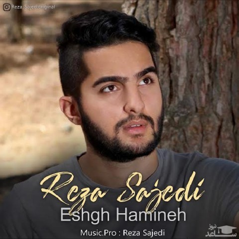 دانلود آهنگ عشق همینه از رضا ساجدی
