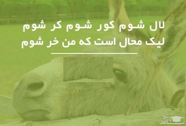 شعر همام تبریزی