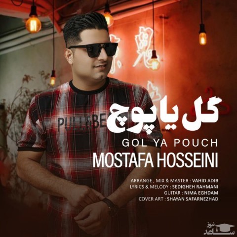 دانلود آهنگ گل یا پوچ از مصطفی حسینی